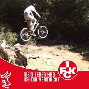 Meet your Posher, Phil